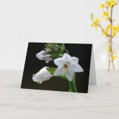 Carte Fleur pourpre (Fleur jaune)