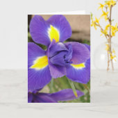 Carte Fleur pourpre et jaune - Iris (Fleur jaune)