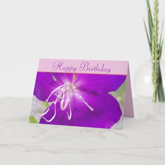 Carte Fleur pourpre Joyeux anniversaire (Devant)