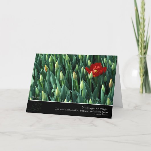 Carte Fleur Précoce, par Anna Wight (Devant)