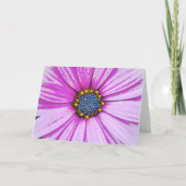 Carte Fleur Rose Art Daisy Africain (Devant)