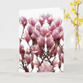 Carte Fleur rose de floraison de ressort de magnolias (Fleur jaune)
