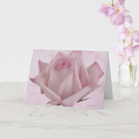 Carte Fleur rose douce (Orchidée)