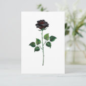 Carte Fleur rose noire (Debout devant)