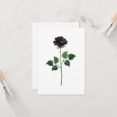 Carte Fleur rose noire (Devant/Arrière en situation)