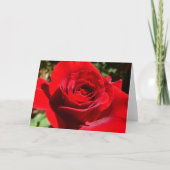 Carte Fleur rose rouge vif Belle florale (Devant)