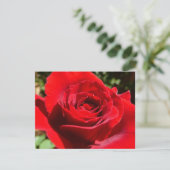 Carte Fleur rose rouge vif Belle florale (Debout devant)