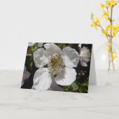 Carte Fleur rose sauvage (Fleur jaune)