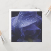 Carte Fleur Rose violet (Devant/Arrière en situation)