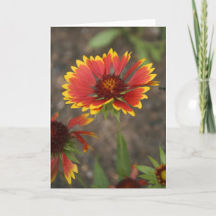 Carte Fleur rouge