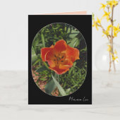 Carte fleur rouge de printemps (Fleur jaune)