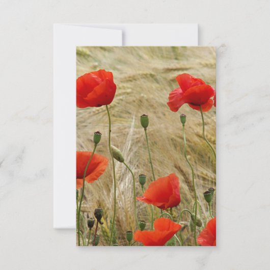 Carte fleur rouge d'été (Devant)