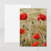 Carte fleur rouge d'été (Devant / Derrière)
