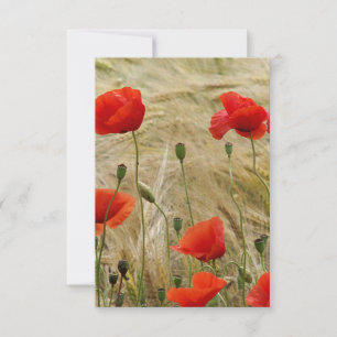 Carte fleur rouge d'été