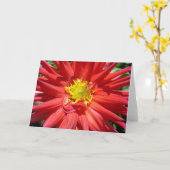 Carte Fleur rouge et jaune (Fleur jaune)