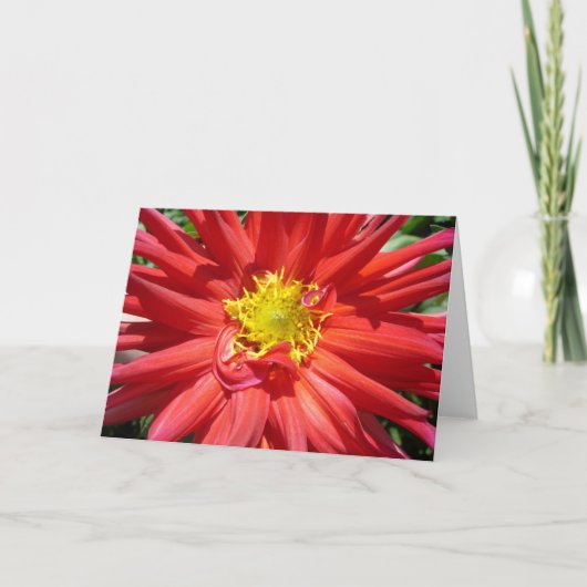 Carte Fleur rouge et jaune (Devant)