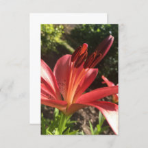 Carte "Fleur Rouge Solide" en Z