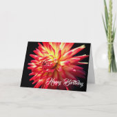 Carte Fleur Rouge Vibrant Dahlia Anniversaire (Devant)