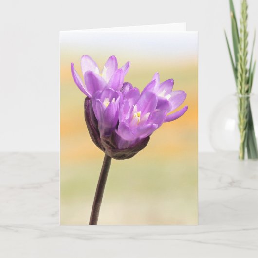 Carte Fleur sauvage Bleu (Devant)