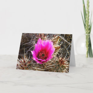Carte Fleur sauvage de cactus en fleurs (Prickly Pear)