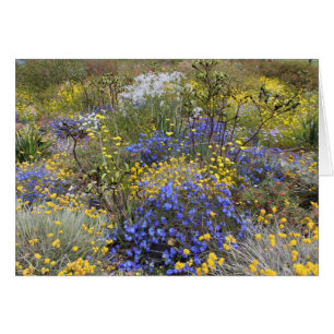 Carte fleur sauvage de printemps