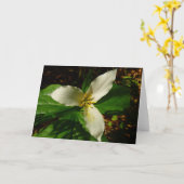 Carte Fleur sauvage de printemps blanc Trillium Flower (Fleur jaune)
