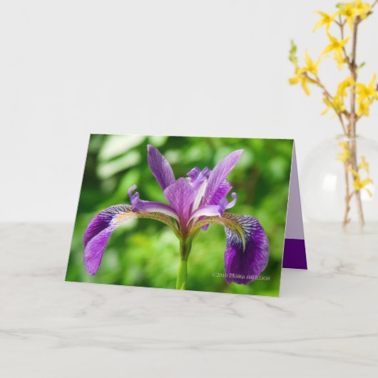 Carte Fleur sauvage d'iris (Fleur jaune)