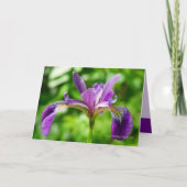 Carte Fleur sauvage d'iris (Devant)