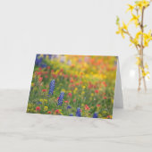 Carte Fleur sauvage du printemps (Fleur jaune)