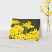 Carte Fleur sauvage du Texas : Le Ragwort doré du début (Fleur jaune)