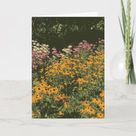 Carte Fleur sauvage Jardin Fleurs de cône Jardin Susans (Devant)