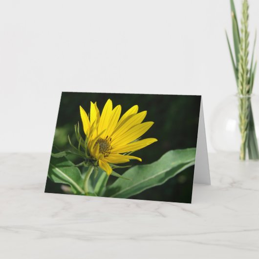 Carte Fleur sauvage Jaune Toutes les occasions (Devant)