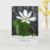 Carte fleur sauvage sanguinaire pensant à vous (Fleur jaune)