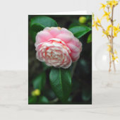 Carte Fleur simple de camélia (Fleur jaune)