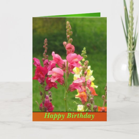 Carte Fleur Snapdragon rose Jaune Joyeux Anniversaire (Devant)