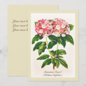 Carte Fleur vintage de laurier de montagne (Devant / Derrière)