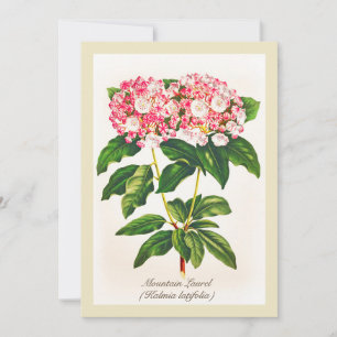 Carte Fleur vintage de laurier de montagne