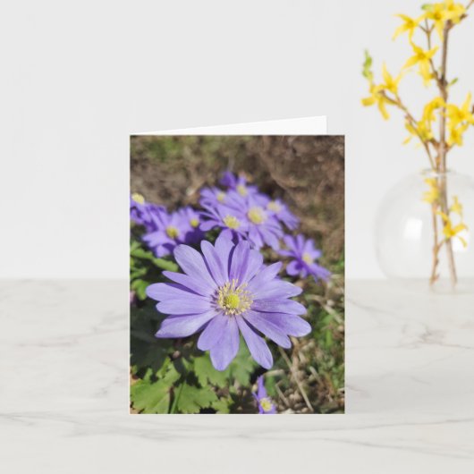 Carte Fleur violette (Fleur jaune)