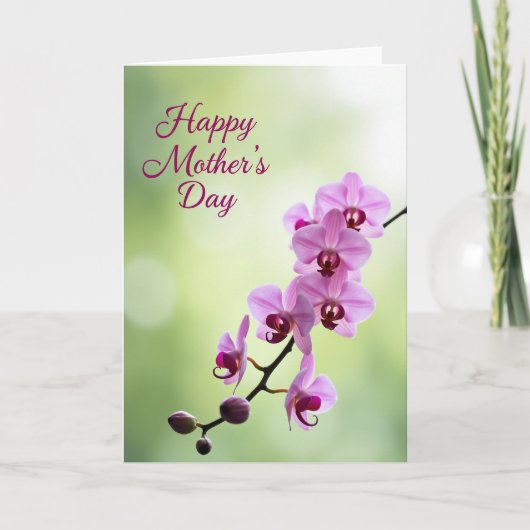 Carte Fleur Violette Mate (Devant)