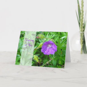 Carte Fleur Violette Pensées pour Toi