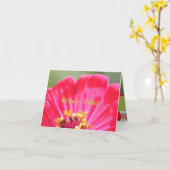 Carte Fleur Zinnia rose (Fleur jaune)
