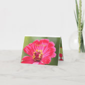 Carte Fleur Zinnia rose (Dos)