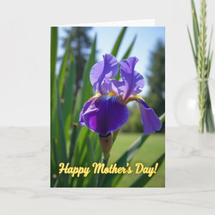 Carte Fleurale Violet Bloom