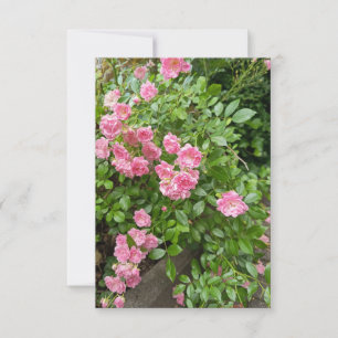 Carte Fleurie Jardin de Roses Roses