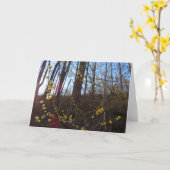 Carte Fleurs à épicéa au printemps (Fleur jaune)