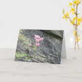 Carte Fleurs alpines (Fleur jaune)