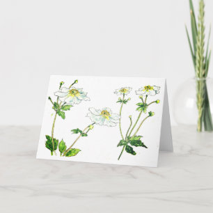 Carte Fleurs - Anénomes japonais