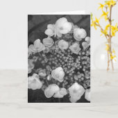 Carte Fleurs B&W (Fleur jaune)