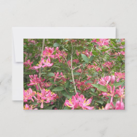 Carte Fleurs Bienheureuses (Devant)