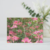 Carte Fleurs Bienheureuses (Debout devant)